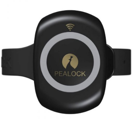 Pealock – elektronický zámek černý